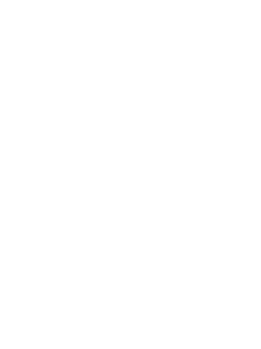 Image of a norse warrior or viking